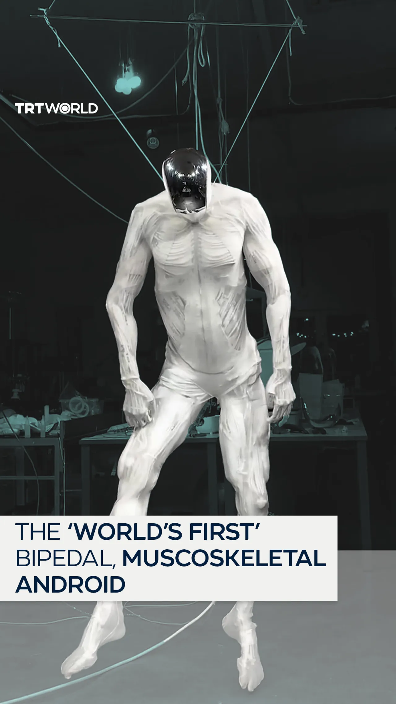 Robotics company unveils ‘world’s first’ bipedal, musculoskeletal android